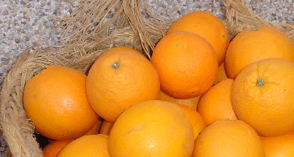 venta de naranjas por internet