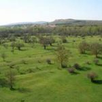 Ciudad del medio ambiente, Soto de Garray (Soria)